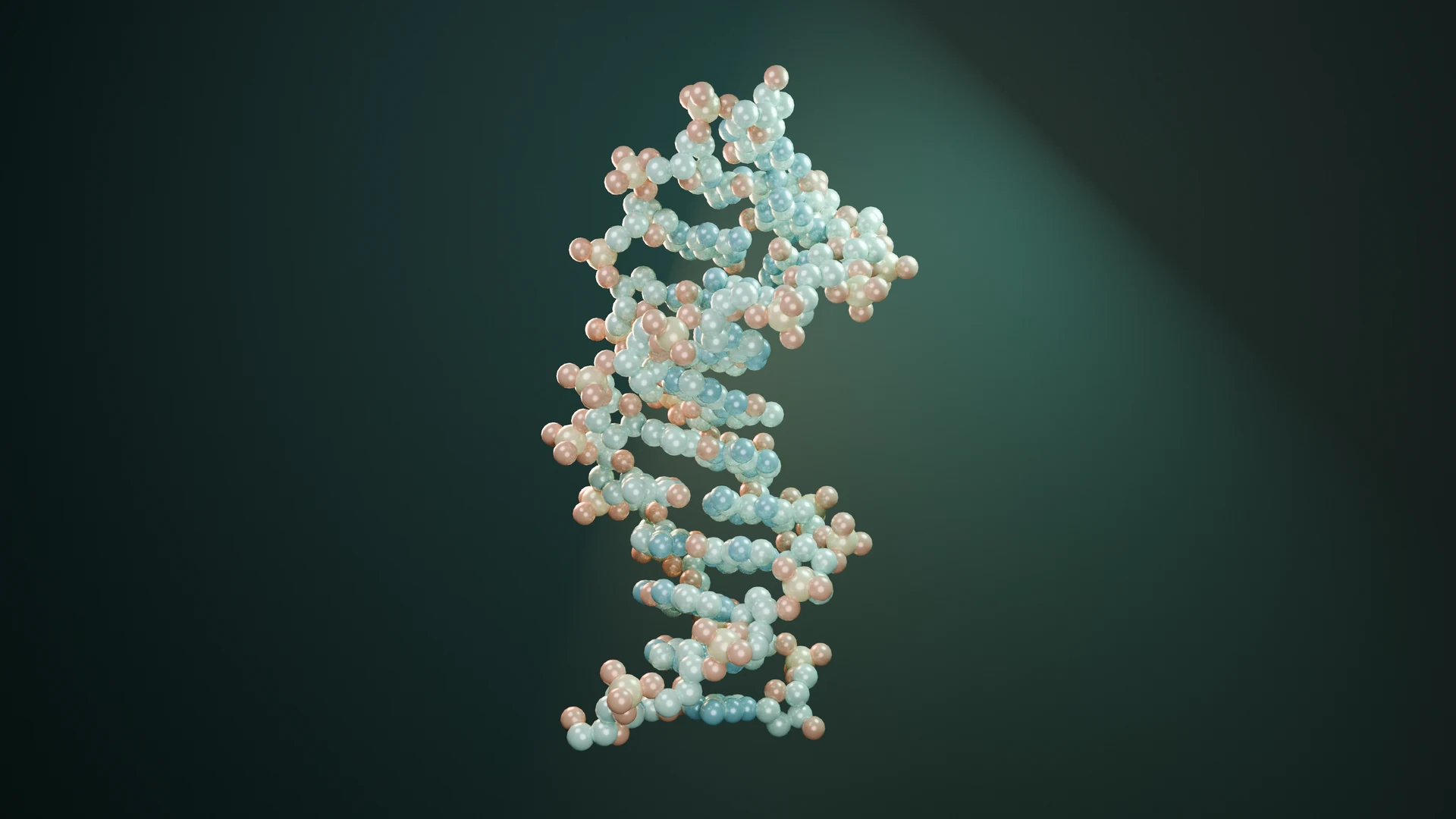 Original Blender rendering of the deposited 1BNA DNA structure, with individual atoms and bonds